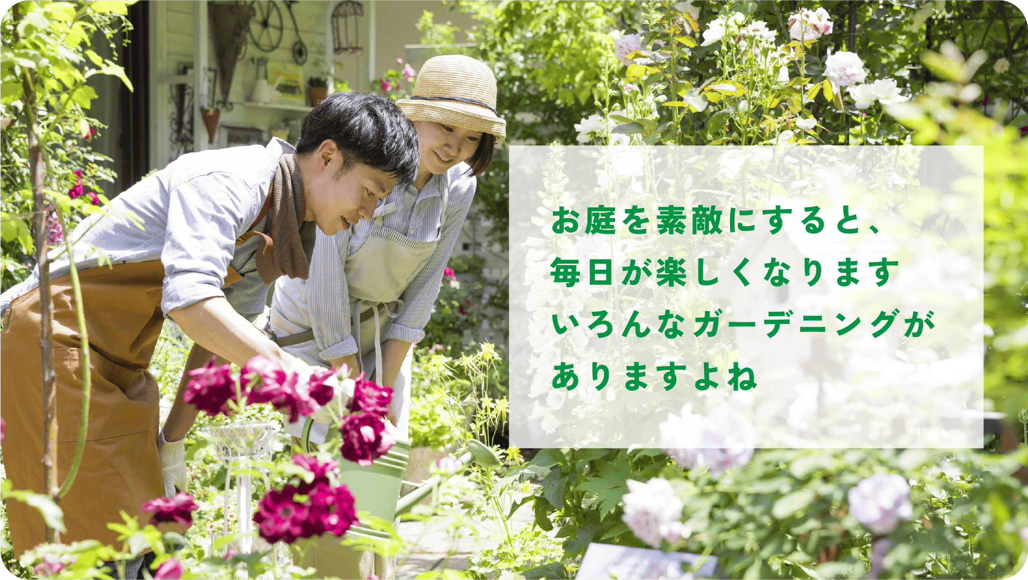 イメージ画像